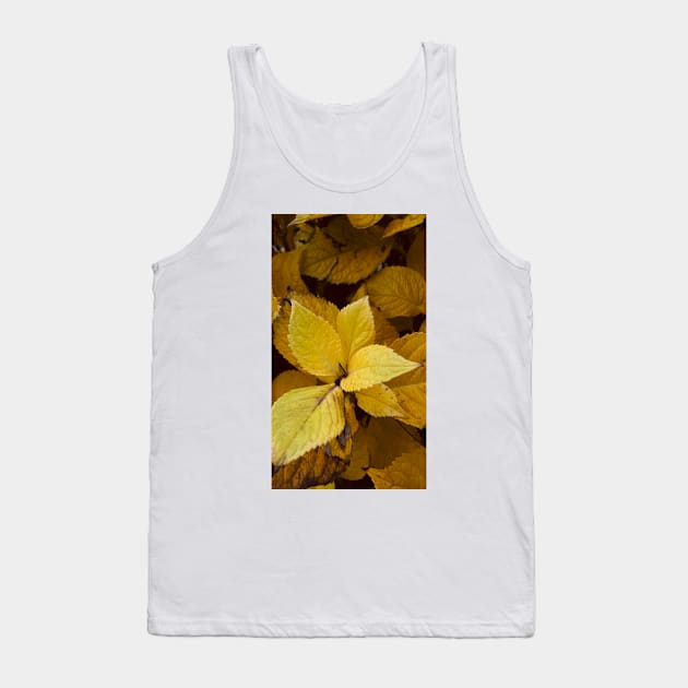 Yellow autumn leaves Tank Top by Sgrel-art